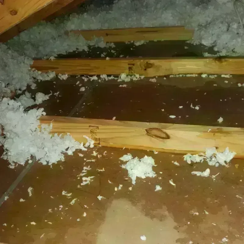 Attic Water Damage in Rainier, WA