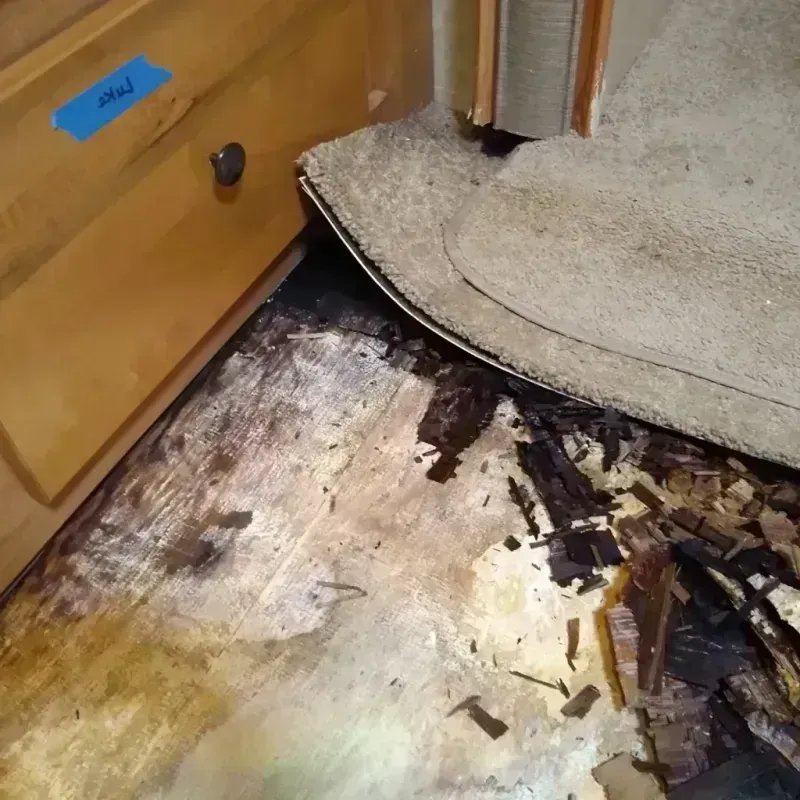 Best Wood Floor Water Damage Service in Rainier, WA